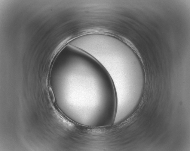 X0000080150946200612081049