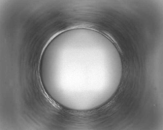 X0000080150948200612081049