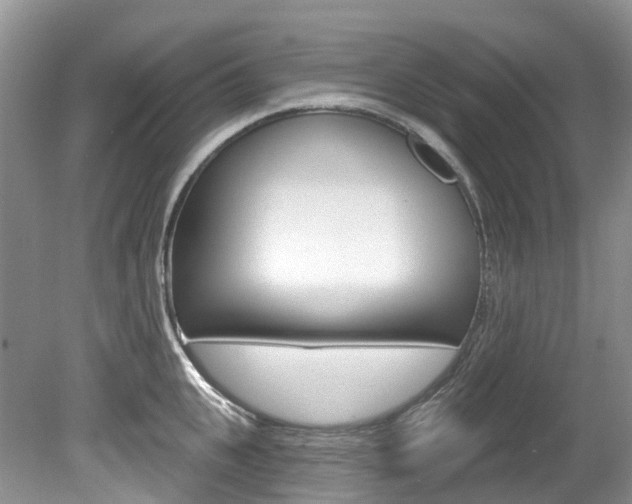 X0000080150951200612081049
