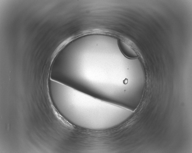 X0000080150954200612081049