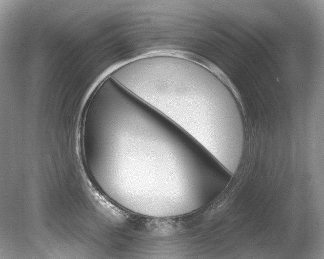 X0000080150955200612081049