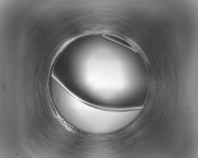 X0000080150956200612081049