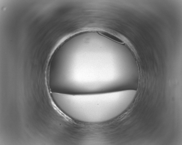 X0000080150958200612081049