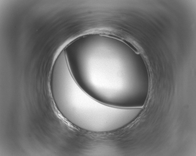 X0000080150960200612081049