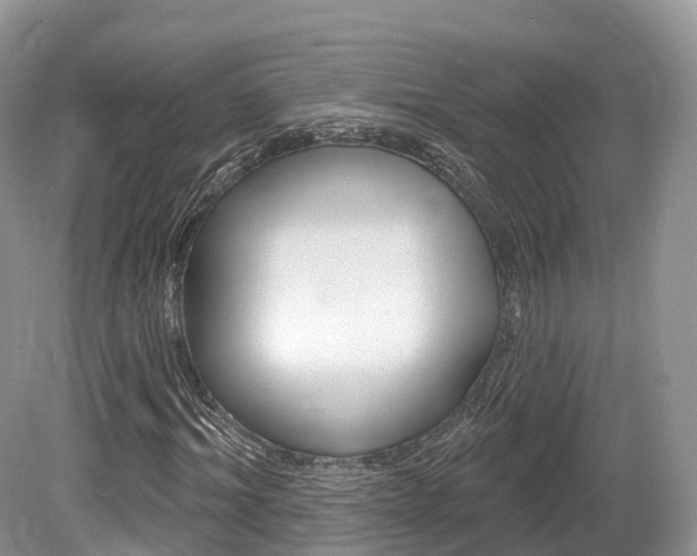 X0000080150964200612081048