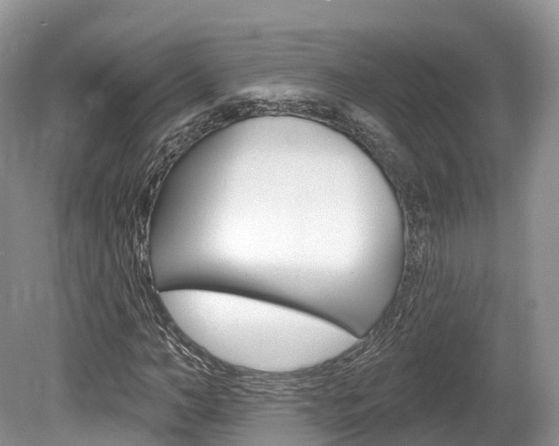 X0000080150966200612081048