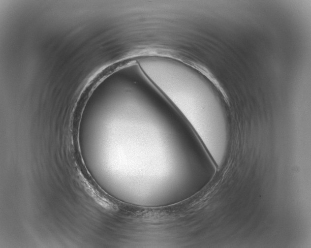 X0000080150972200612081048