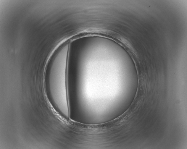 X0000080150976200612081048