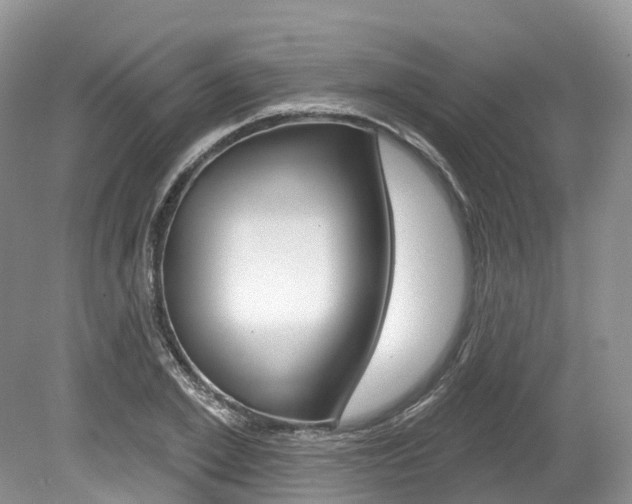 X0000080150981200612081048