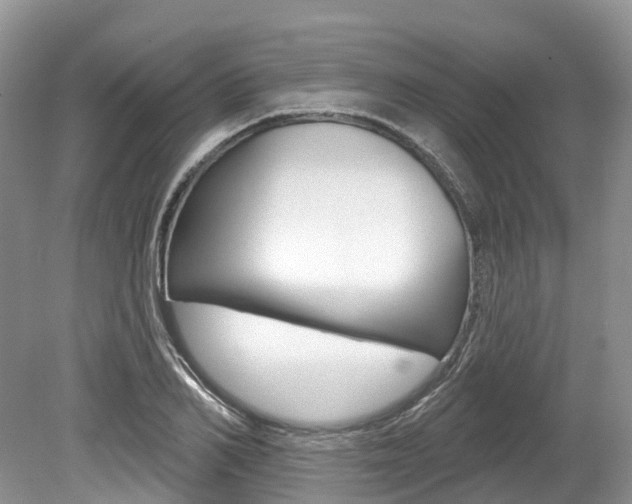 X0000080150982200612081048