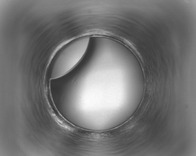 X0000080150987200612081048