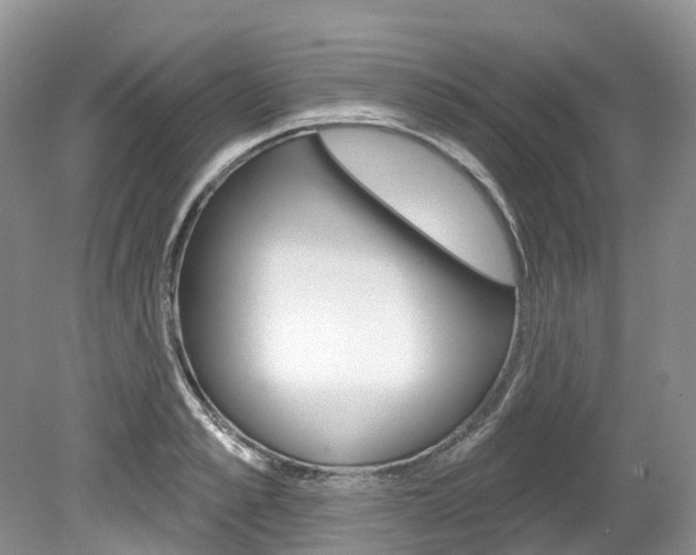 X0000080150989200612081048