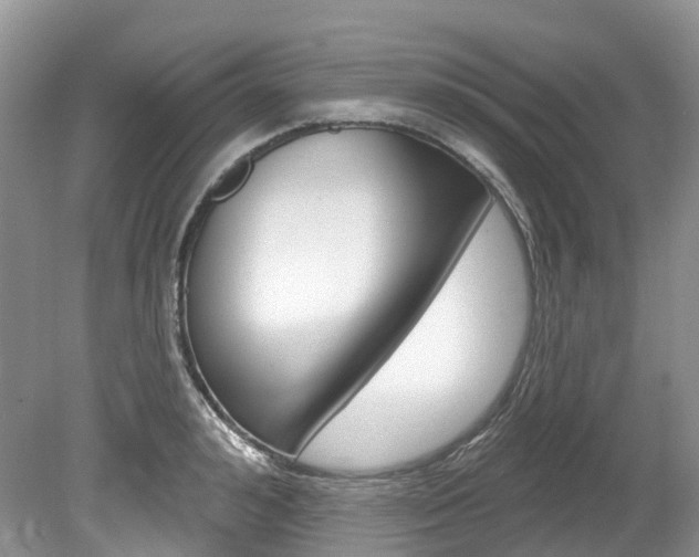 X0000080150992200612081048