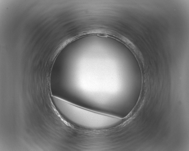 X0000080150993200612081048