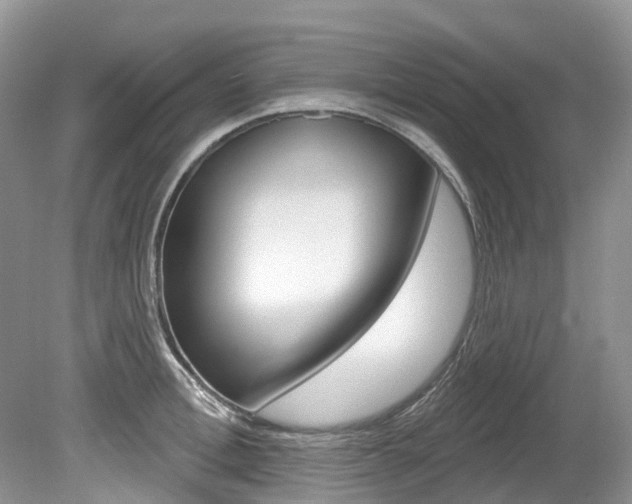 X0000080150996200612081047