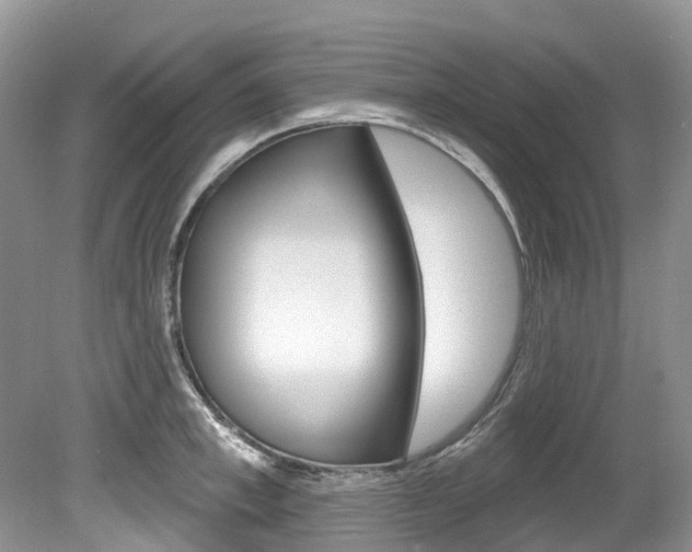 X0000080150997200612081047