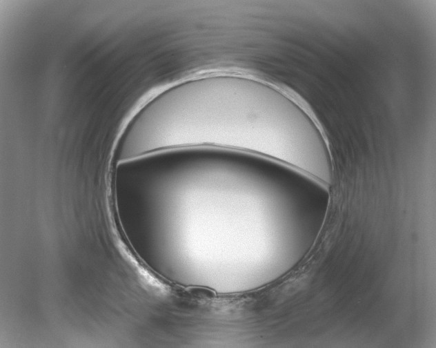 X0000080151005200612081047