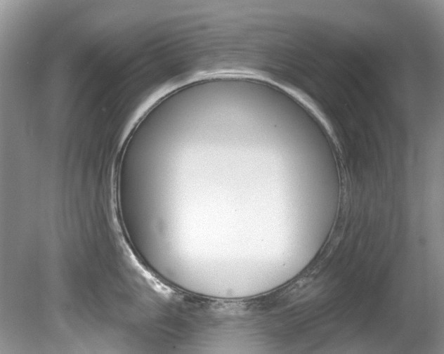 X0000080151006200612081047