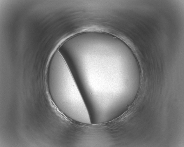 X0000080151008200612081047