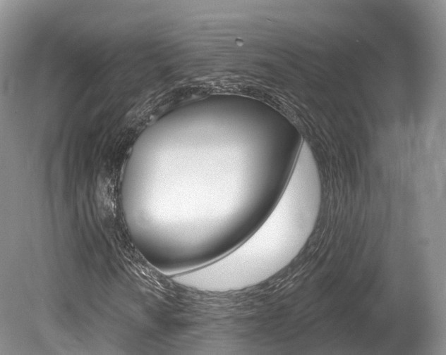 X0000080151010200612081046