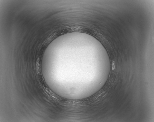 X0000080151011200612081046