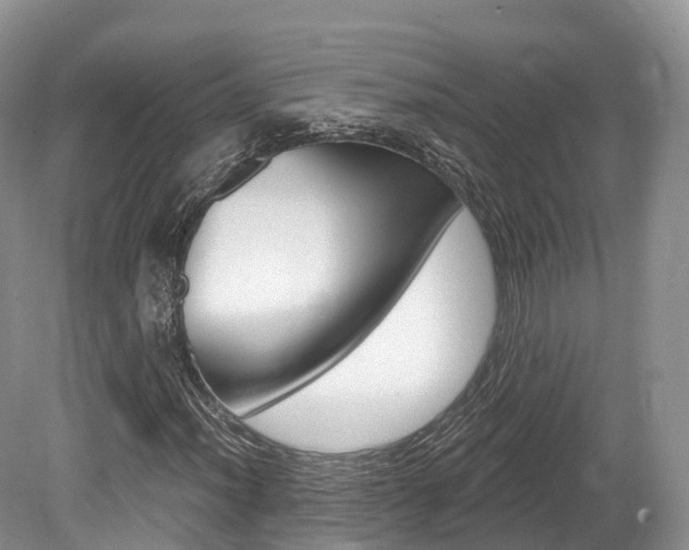 X0000080151012200612081047