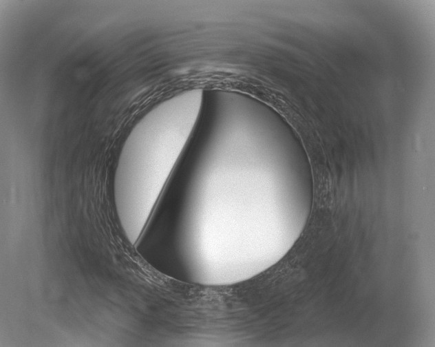 X0000080151013200612081047