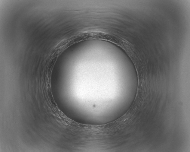 X0000080151014200612081047
