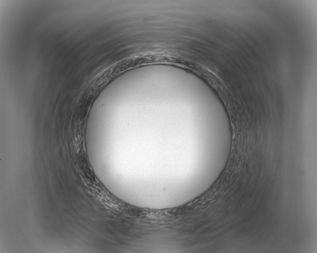 X0000080151015200612081047