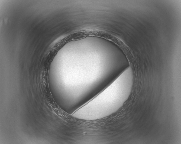 X0000080151016200612081047