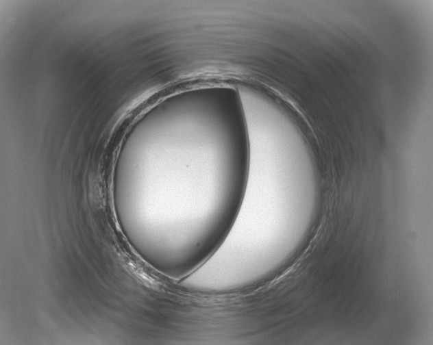 X0000080151018200612081047