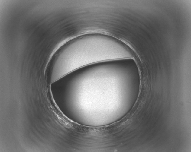 X0000080151022200612081047