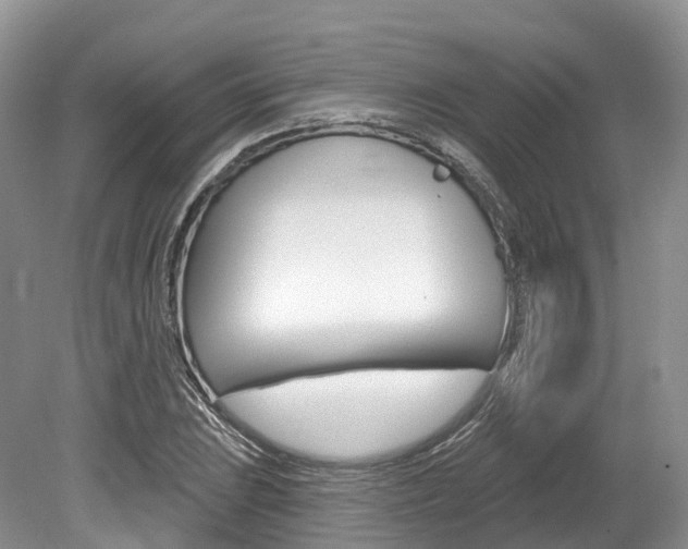 X0000080151023200612081047