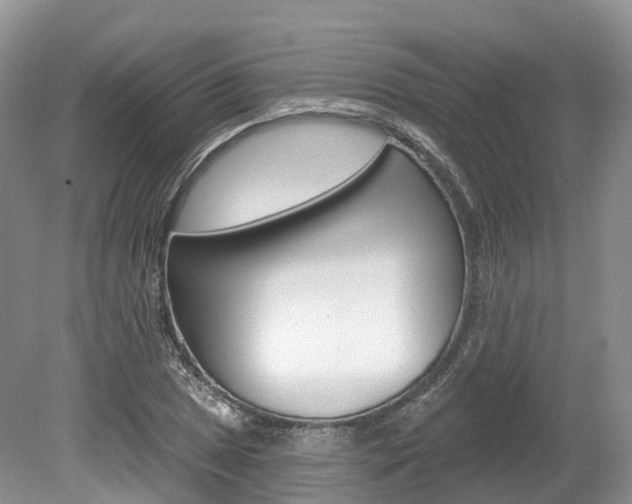 X0000080151025200612081047
