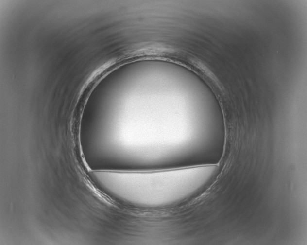 X0000080151026200612081047