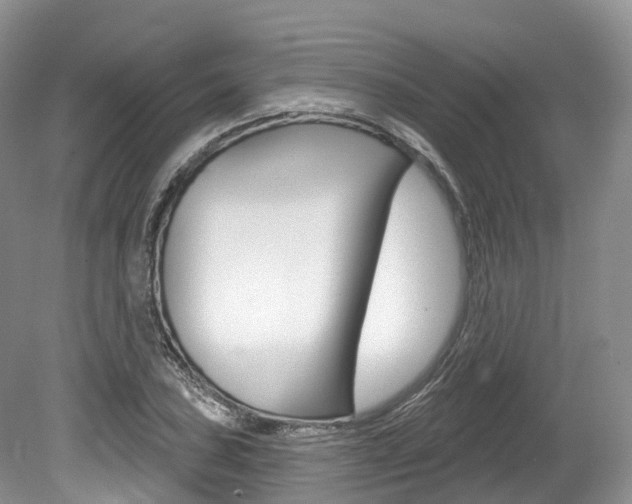 X0000080151027200612081047