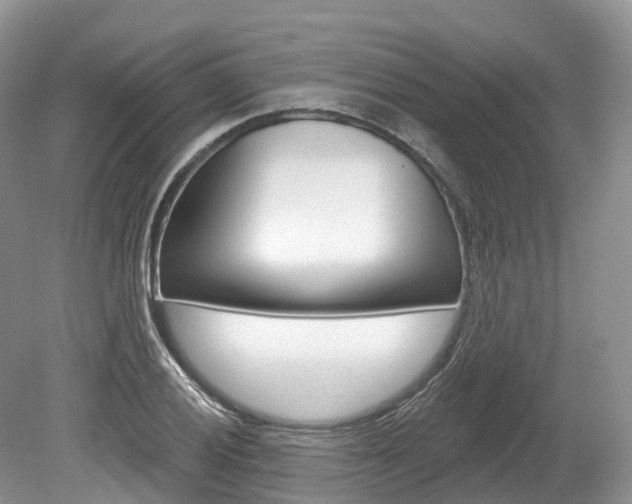 X0000080151028200612081047