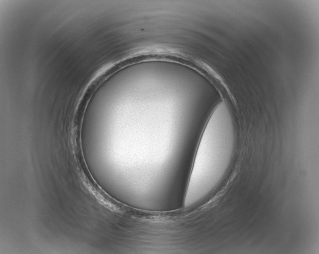 X0000080151029200612081047