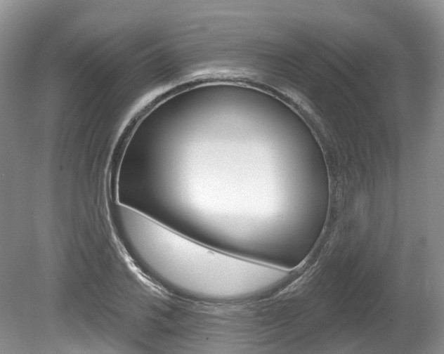 X0000080151030200612081047