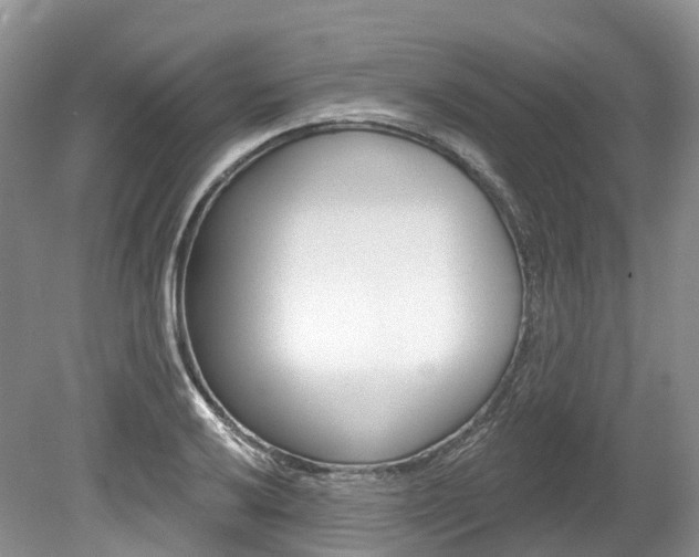 X0000080151032200612081047