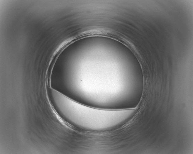 X0000080151034200612081047