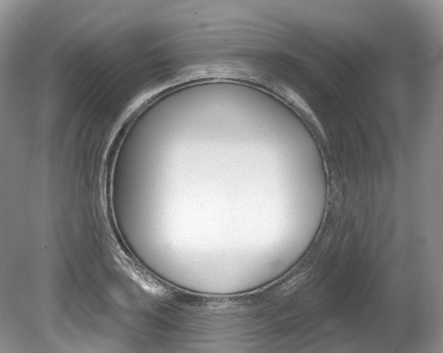 X0000080151035200612081047