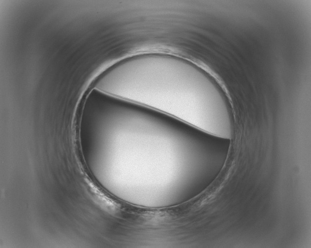 X0000080151037200612081047