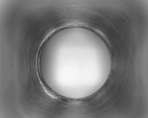 X0000080151039200612081047