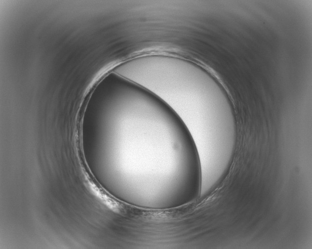 X0000080151042200612081047