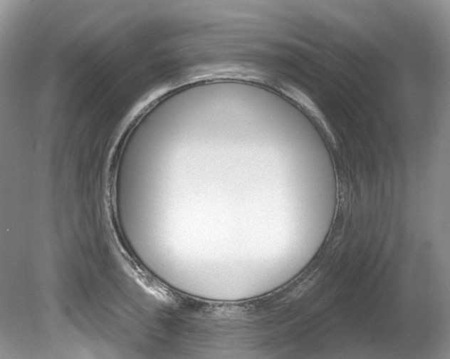 X0000080151043200612081047