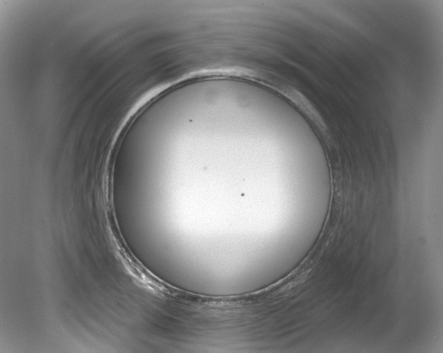 X0000080151044200612081047
