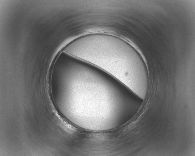 X0000080151045200612081047
