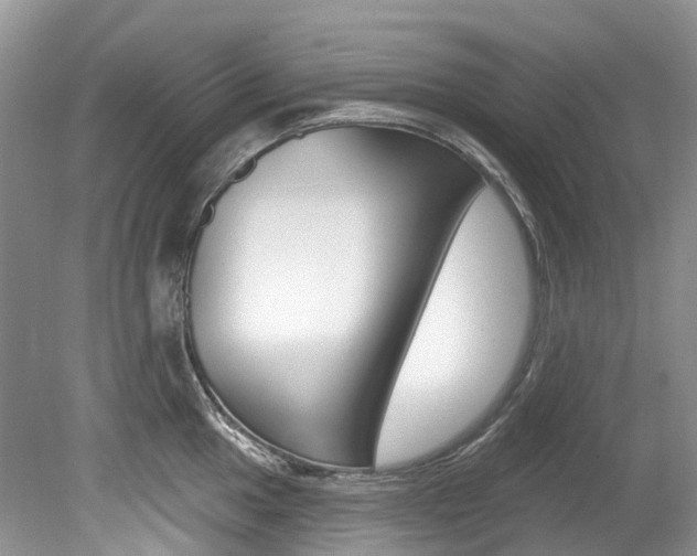 X0000080151049200612081047