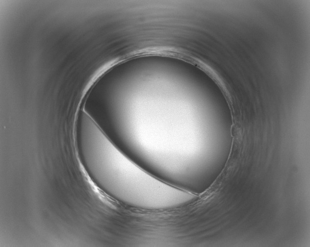 X0000080151050200612081047